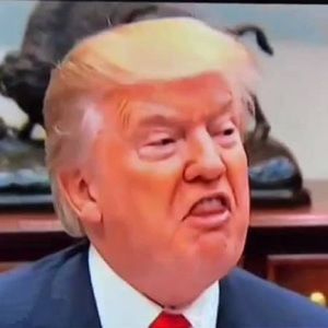 Meet your Posher, Collin